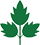 Celery Celery