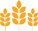 Gluten / Wheat Gluten / Wheat